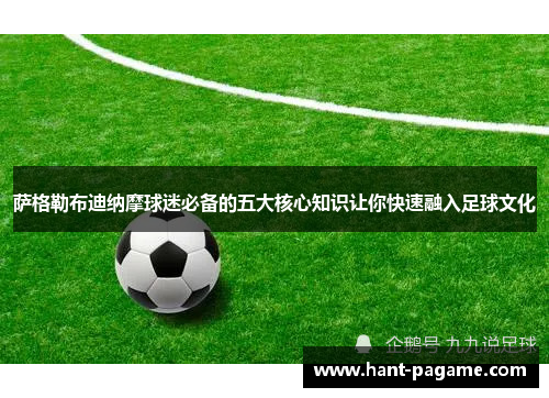 萨格勒布迪纳摩球迷必备的五大核心知识让你快速融入足球文化